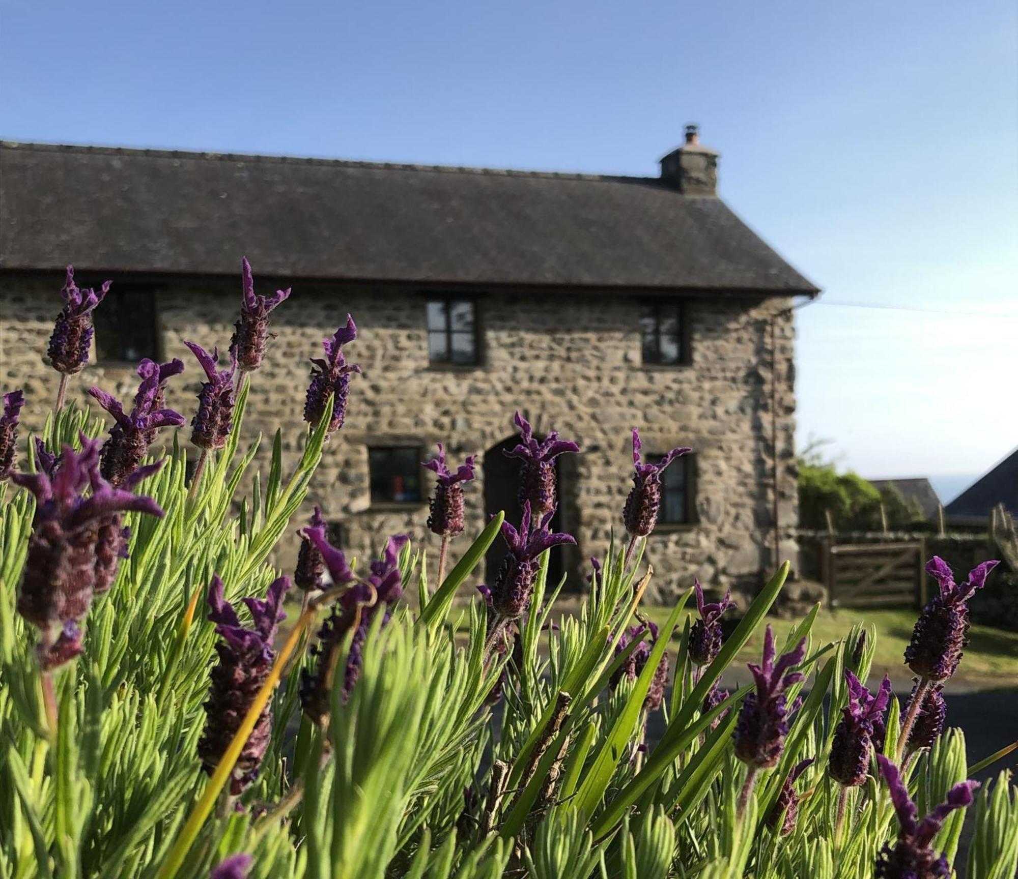 The Old Farmhouse B&B Dyffryn Ardudwy Eksteriør bilde